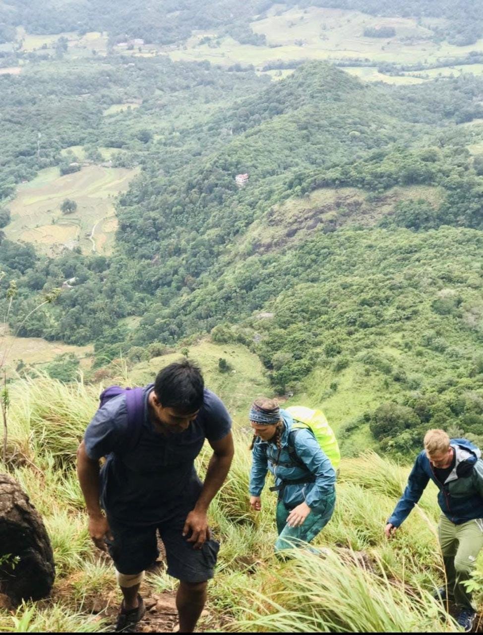 Shenaya Plantation - WhatsApp Image 2025 09 21 at 17.55.02 e549b599